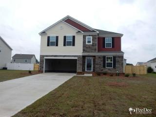 1212 Barn Owl Rd, Effingham, SC 29541-4720