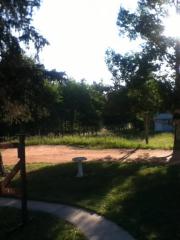 503 Dani Pl, Divide, CO 80814-9133