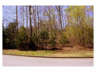742 Night Fire Dr, Dawsonville, GA 30534-0737