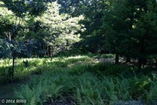 1 Castle Mountain Camps Rd, Franklin WV  26807 exterior