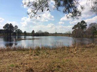 43 Mallard Pointe Dr, Douglas, GA 31535