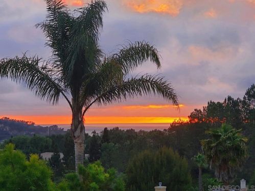 4229 Via Mar De Delfinas, San Diego, CA 92130-2673