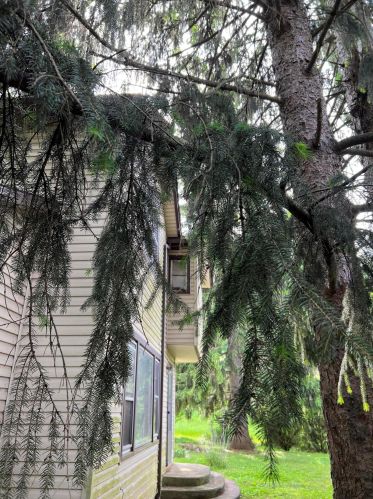 1701 Home Rd, Springfield OH  45504-1011 exterior