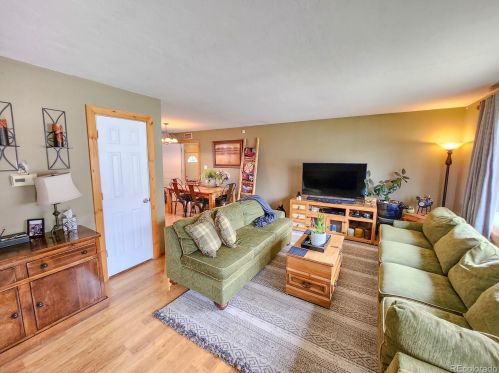 628 8th St, Leadville, CO 80461-3838