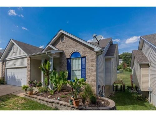 493 Winter Bluff Dr, Fenton, MO 63026-6577