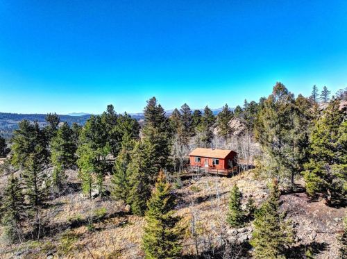 682 Concord Dr, Fairplay, CO 80456-9754