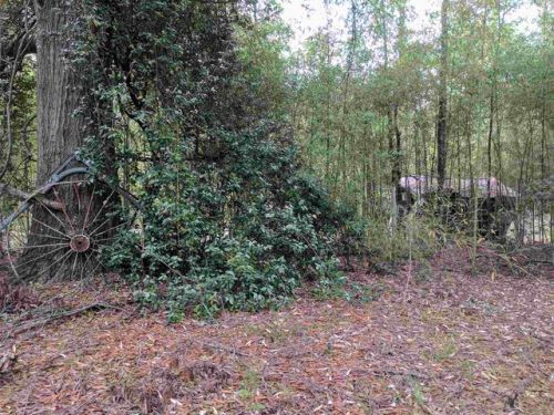 1775 John G Richards Rd, Red Hill, SC 29020-8207