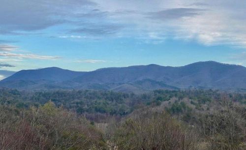 281 Pocaset Dr, Ellijay, GA 30540-0625