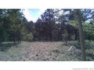 29 Montana Cir, Twin Rock, CO 80816-8734