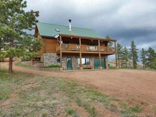 13725 Crosby Cir, Deckers, CO 80135-9661