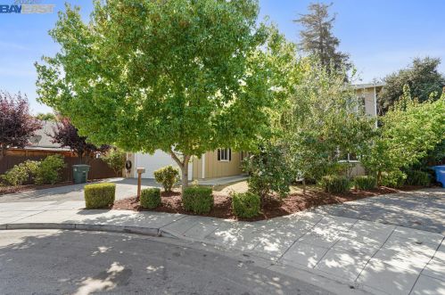 767 Carole Ct, Palo Alto, CA 94303-1692