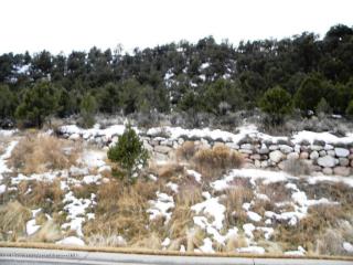 3871 Crystal Bridge Dr, El Jebel, CO 81623-3119