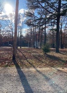 10474 Autumn Rd, Old Mines, MO 63630-8501