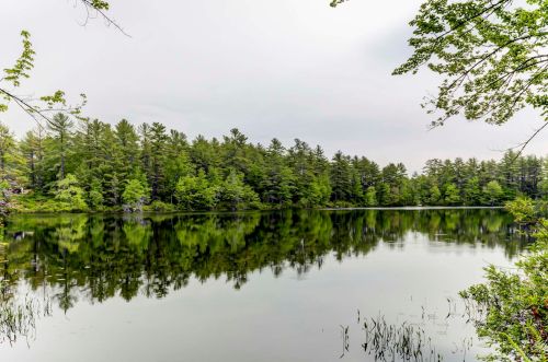 83 Round Pond Rd, Freedom, NH 03836-5106