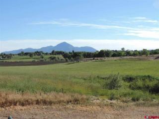 25310 Road, Cortez, CO 81321-8841