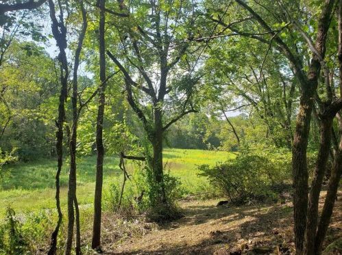 1620 New Hope Rd, Ellijay, GA 30536-4727