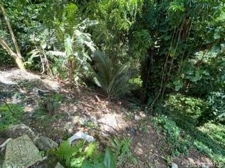 2920 Kalihi St, Honolulu HI  96819-3018 exterior