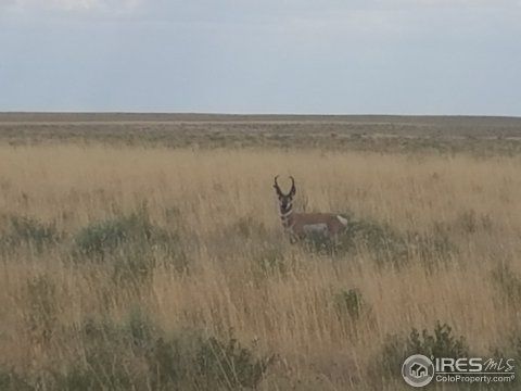 39965 County Road 93, Briggsdale, CO 80611-8316