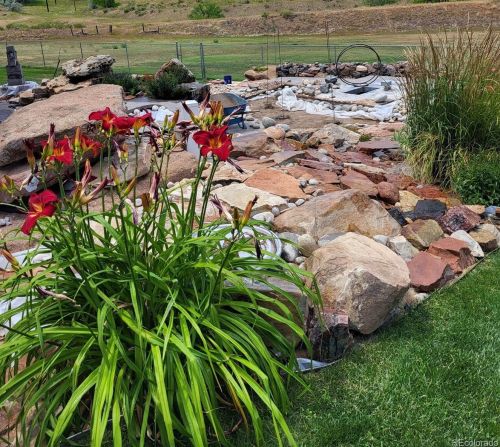 14955 58 Pl, Denver CO 80403-1290 exterior