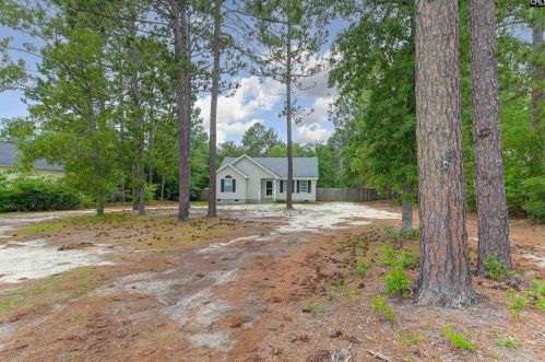 360 Summerland Ct, Pelion, SC 29123-9036