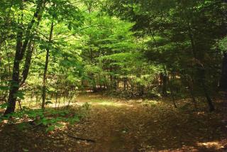 8 Old Turnpike Rd, Chichester, NH 03234-4635