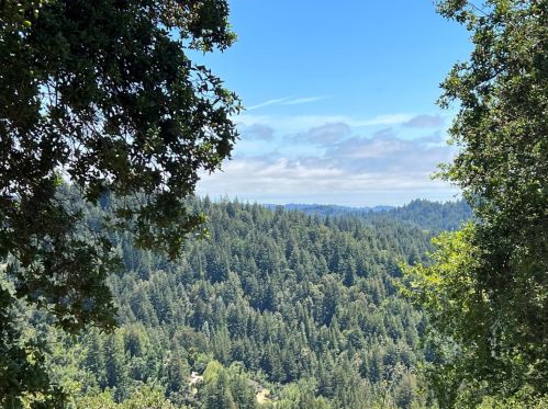 23554 Mountain Charlie Rd, Los Gatos, CA 95033-8557
