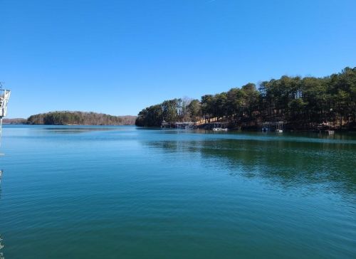 6329 Lakeview Dr, Buford, GA 30518-1129