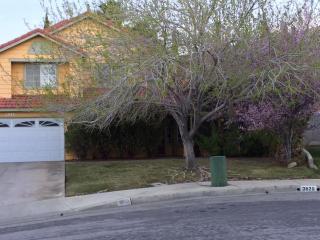 3516 Emerald Ct, Palmdale, CA 93551-1079