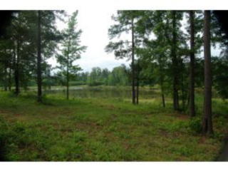 1100 Tanyard Creek Dr, Harlem, GA 30824-7058