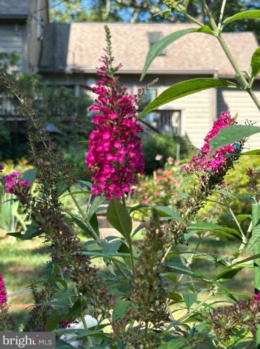 103 Cv Vw Trl, Severna Park MD 21146-4614 exterior