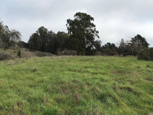 2930 Thorn Rd, Sebastopol, CA 95472-5341