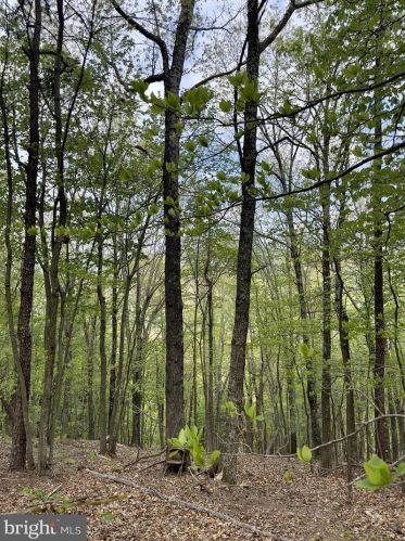 1765 Peters Mountain Ln, Upper Tract WV  26866 exterior