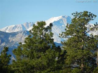 336 Minstrel Dr, Divide, CO 80814-9300