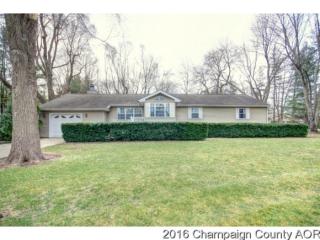 409 Austin St, Tolono, IL 61880-9613