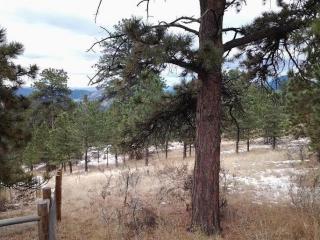 1698 Mockingbird Trl, Bailey, CO 80421-2099