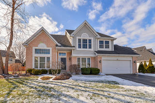 28 Nicolette Ave, Schaumburg IL  60173-6183 exterior