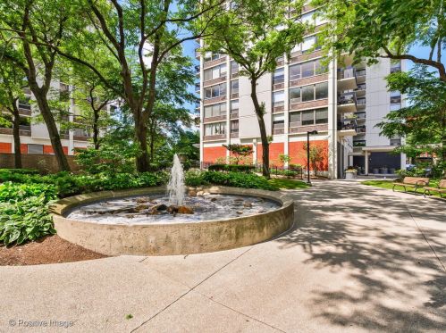 1460 Sandburg Ter, Chicago IL  60610-7688 exterior