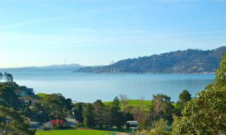 14 Sutter Ct, Tiburon, CA 94920-1329