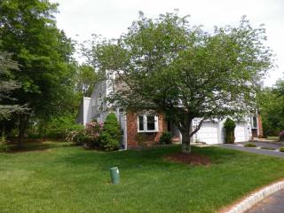 958 Concord Way, Branchburg, NJ 08853-4173