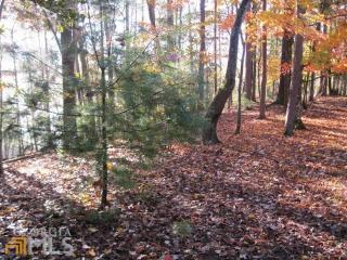 2423 Opaque Way, Ellijay, GA 30540