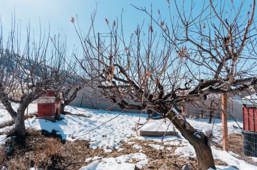 1080 Grandview Dr, Providence UT 84332-9317 exterior