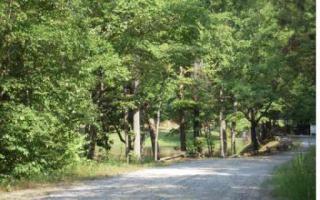 7 Pettit Rd, Ellijay, GA 30536-0038