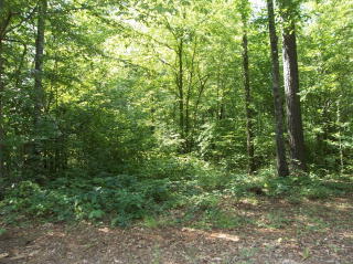124 Black Oak Ct, Cataula, GA 31804-2771