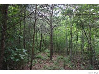 4621 Three Square Rd, Goochland, VA 23063-3522