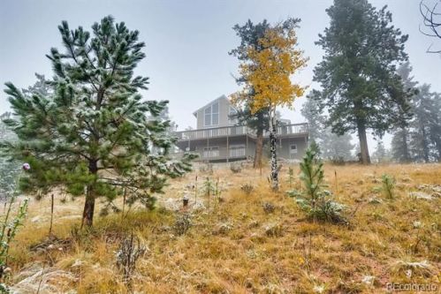 2019 Nova Rd, Pine, CO 80470-7935