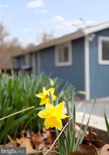 775 Tuckahoe Trl, Hedgesville WV  25427-5372 exterior