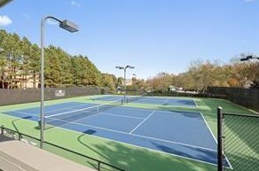 1710 Briergate Dr, Duluth GA  30097-4300 exterior