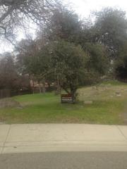 11255 Camjen Ln, Auburn, CA 95603-5751