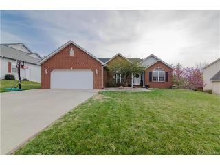 931 Stone Creek Ln, Belleville, IL 62223-2654