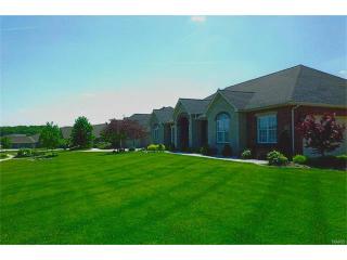 520 Pfeffer Dr, Columbia, IL 62236-2749